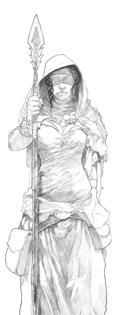 Codex Celtarum Druid