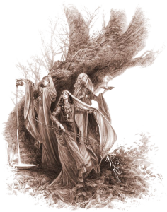 Keepers of the Elven Rings The Sorceress