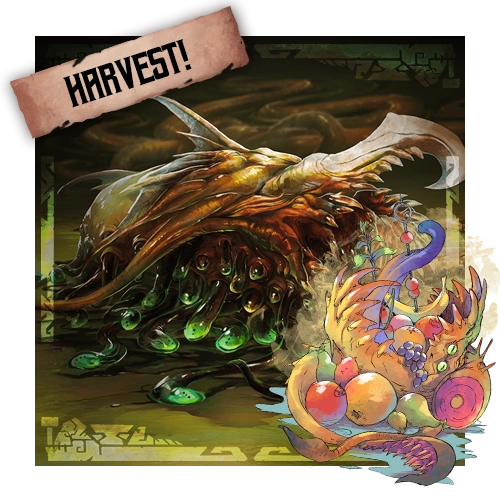 Heliana's Harvest